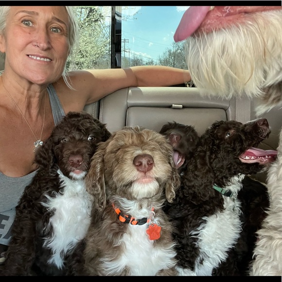 Poshmark Ambassador Sherry Berry - Picture 8 of 15